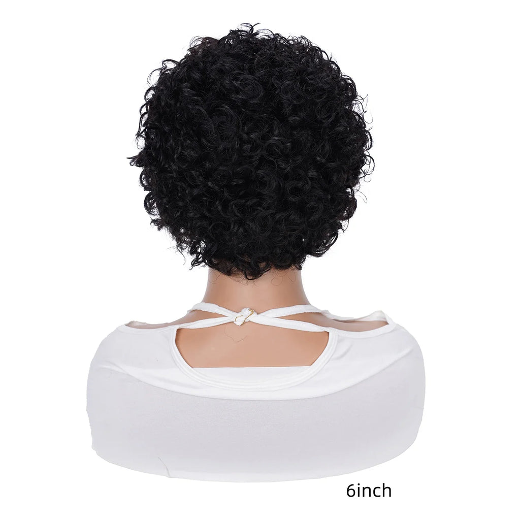 13x1 Transparent Lace Short Curly Pixie Wig